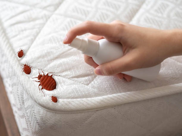 Real Estate Pest Inspections in Greenville, OH